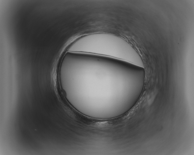 X0000102380054200808010922