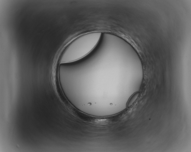 X0000102380055200808010922