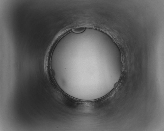 X0000102380056200808010922