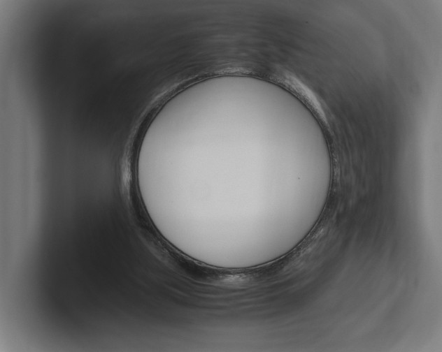 X0000102380059200808010922