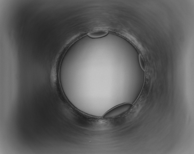 X0000102380060200808010922