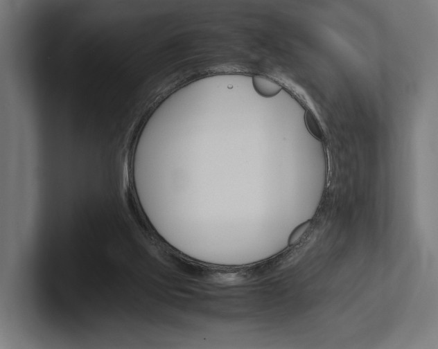 X0000102380061200808010922