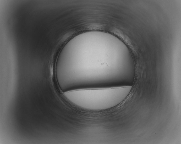 X0000102380062200808010922