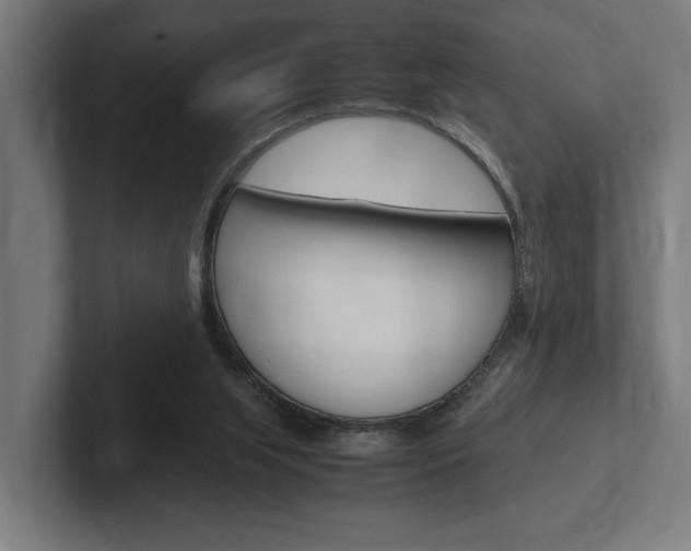 X0000102380063200808010922