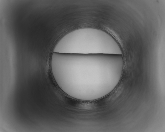 X0000102380065200808010922