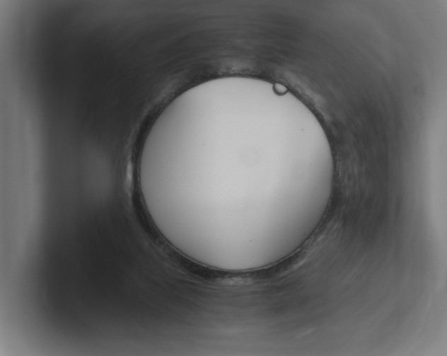 X0000102380067200808010922