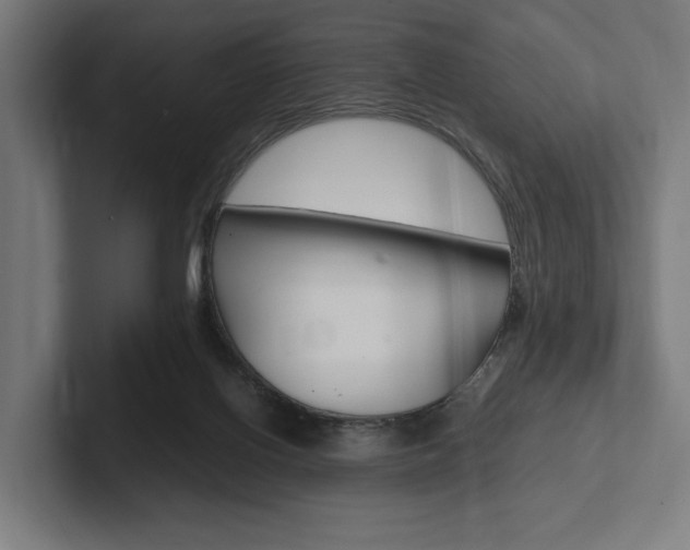X0000102380070200808010922