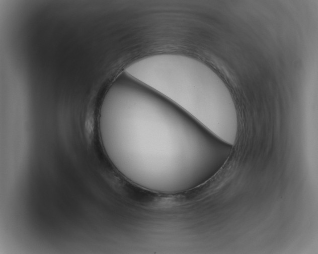 X0000102380072200808010922