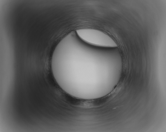 X0000102380078200808010923