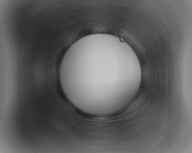 X0000102380079200808010923