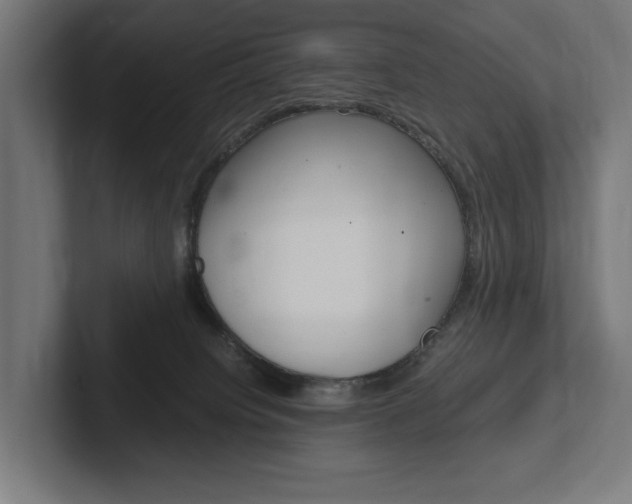 X0000102380084200808010923