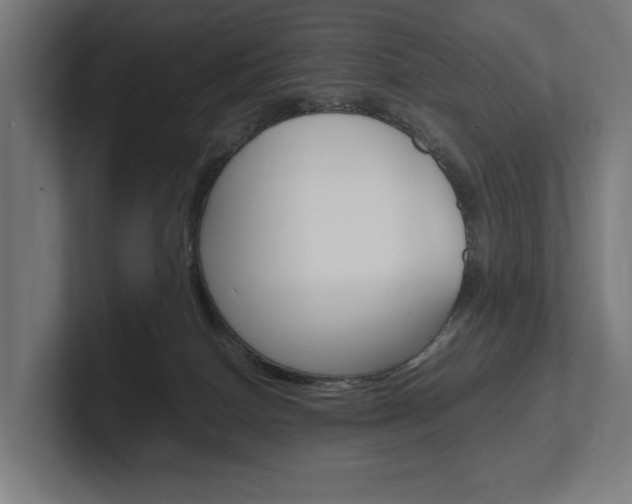 X0000102380086200808010923