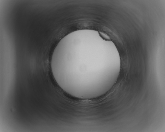X0000102380087200808010923
