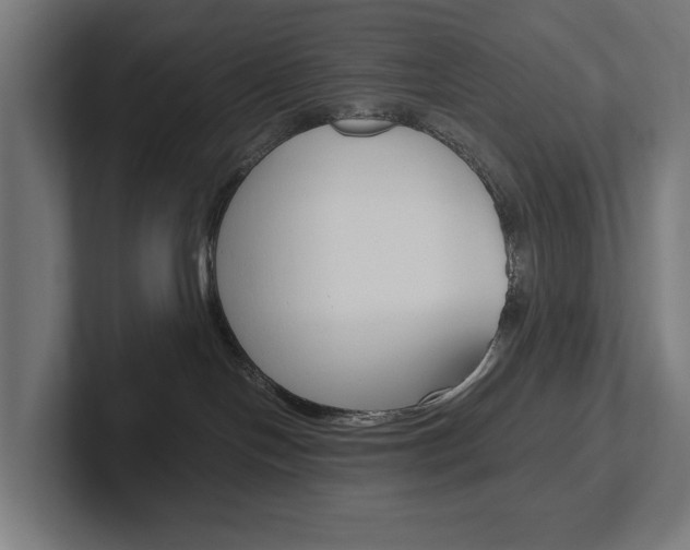 X0000102380094200808010923
