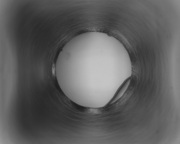 X0000102380095200808010923