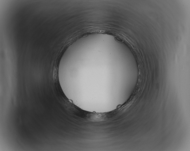 X0000102380096200808010923