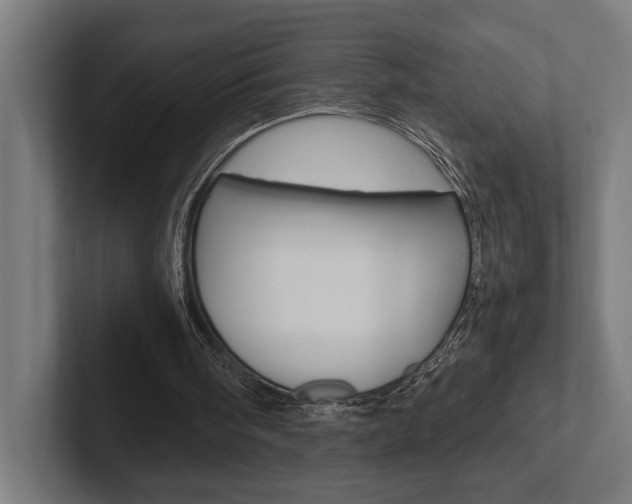X0000102380098200808010922