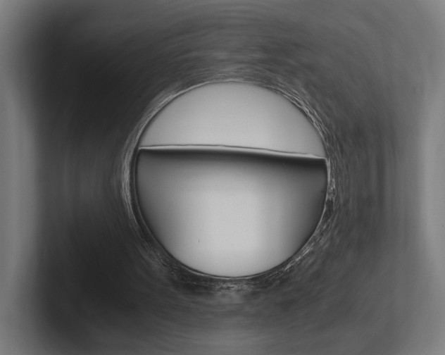 X0000102380099200808010922