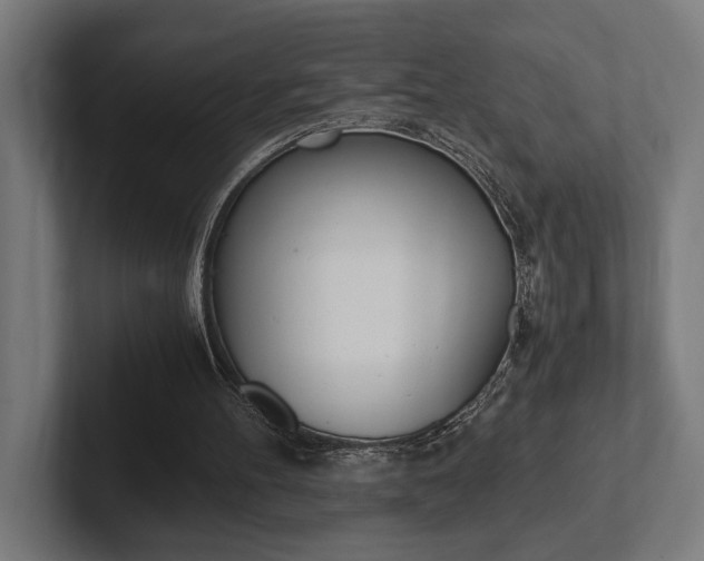 X0000102380100200808010922