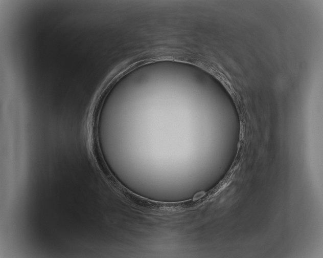 X0000102380101200808010922