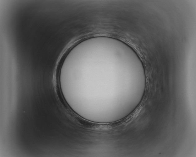 X0000102380102200808010922
