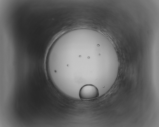 X0000102380104200808010922