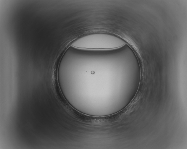 X0000102380105200808010922