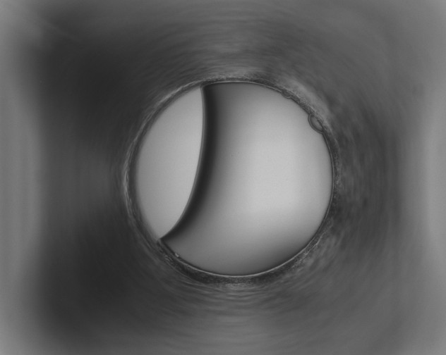 X0000102380107200808010922