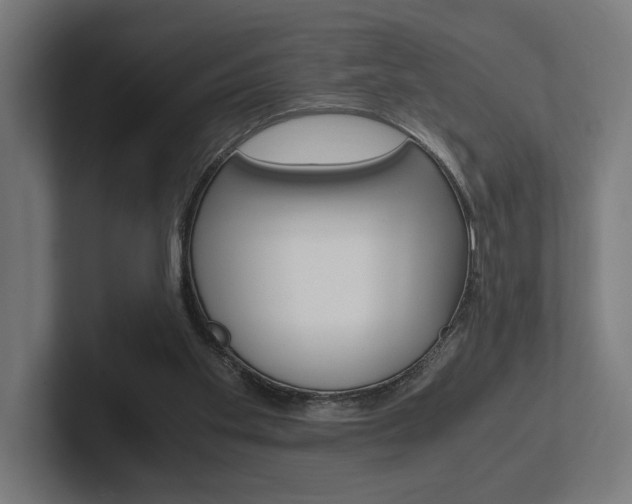 X0000102380109200808010922