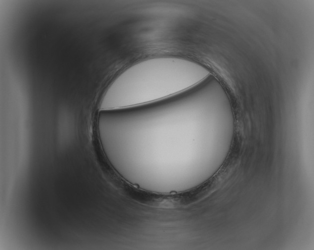 X0000102380115200808010922