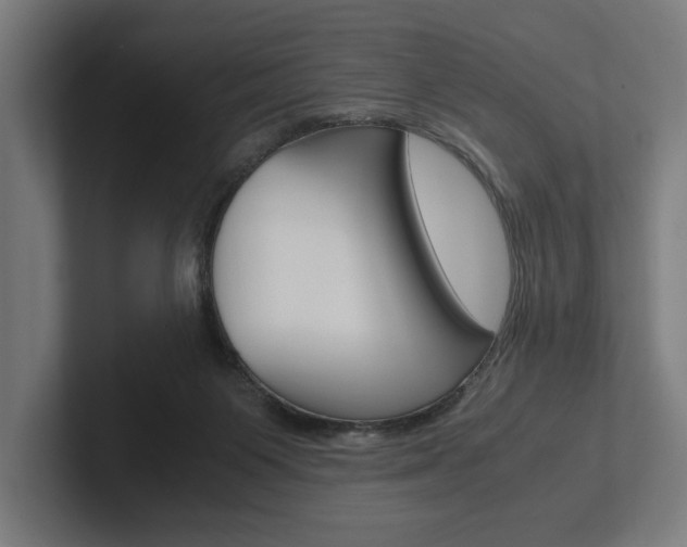 X0000102380119200808010922