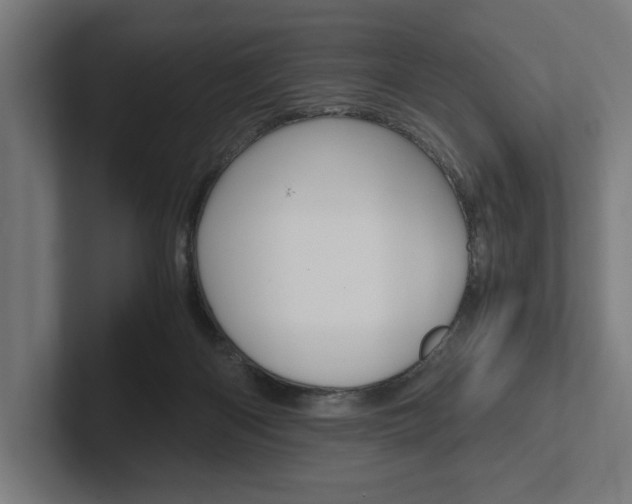 X0000102380122200808010922