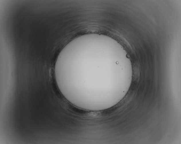 X0000102380126200808010922