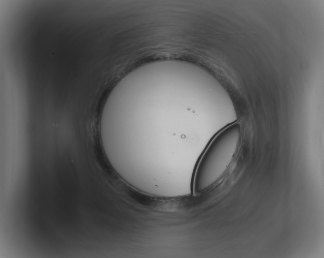 X0000102380127200808010922