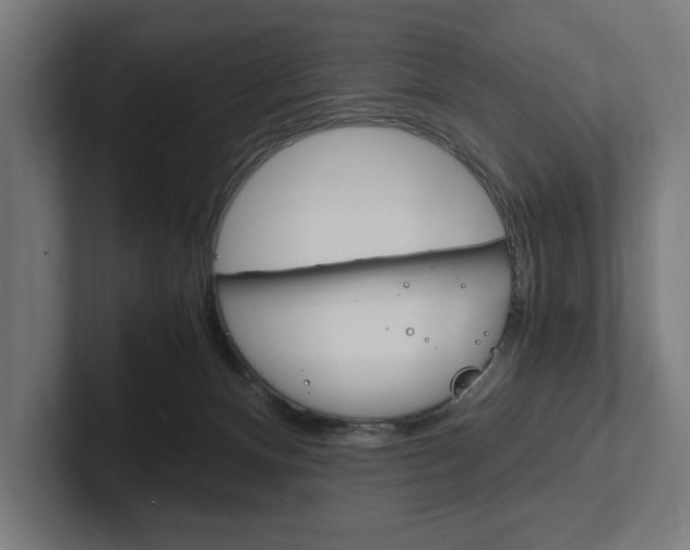 X0000102380128200808010922