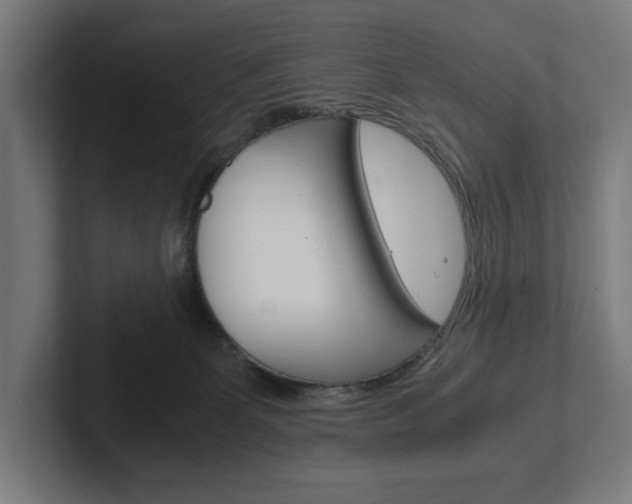 X0000102380131200808010922