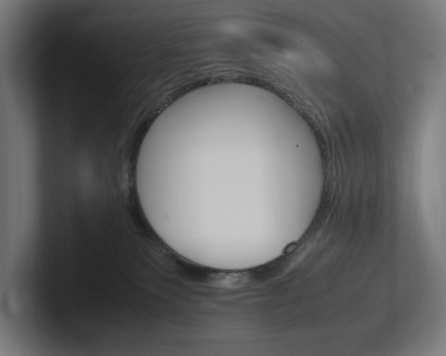 X0000102380135200808010922