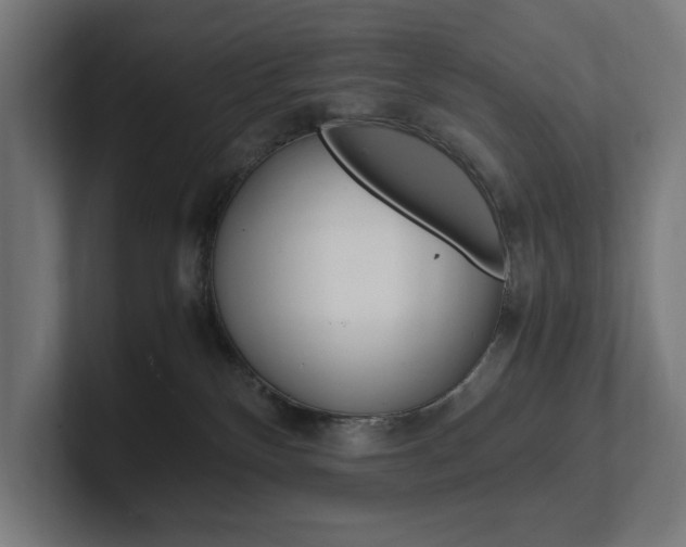 X0000102380136200808010922