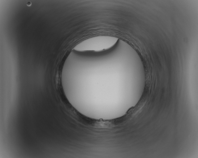 X0000102380137200808010922