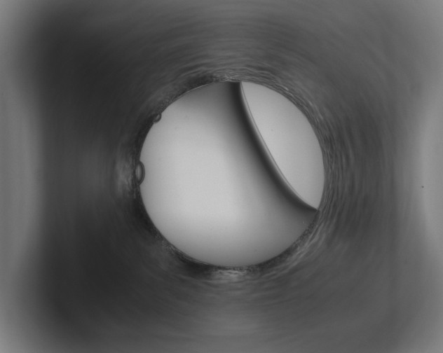 X0000102380139200808010922