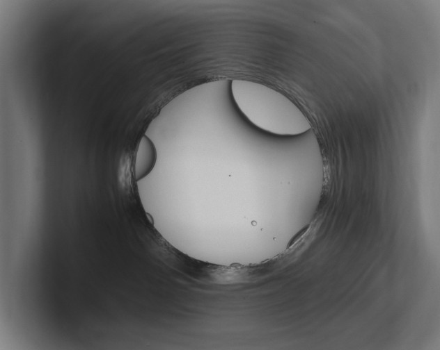 X0000102380142200808010922