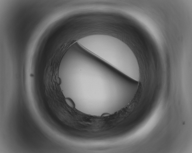 X0000102380143200808010922