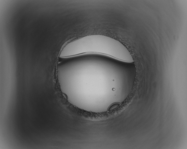 X0000102380144200808010922