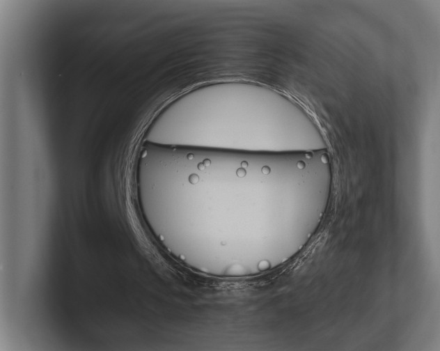 X0000102380145200808010921
