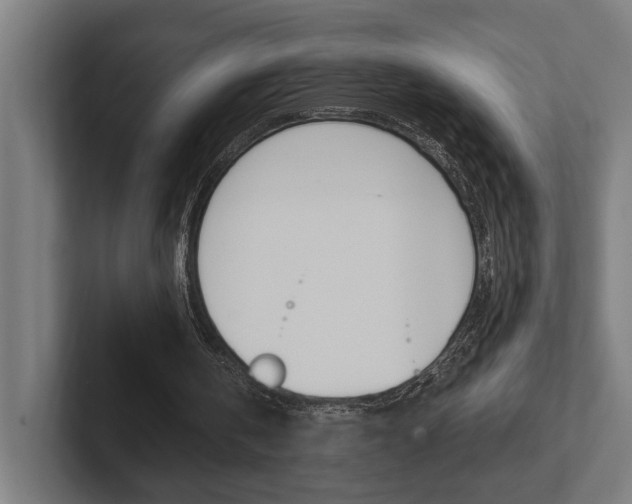 X0000102380146200808010921