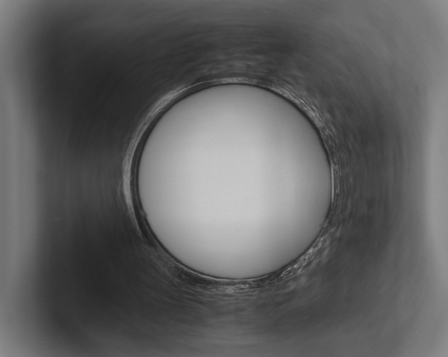 X0000102380147200808010921
