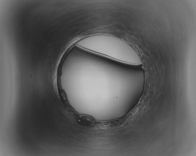 X0000102380148200808010921
