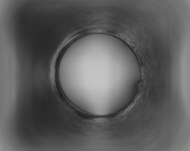 X0000102380150200808010921