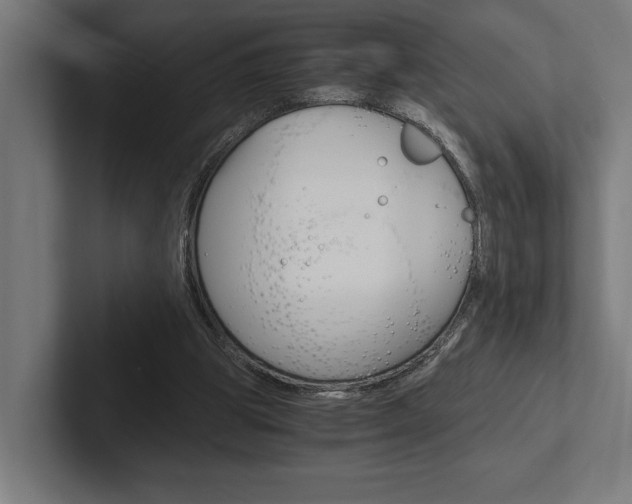 X0000102380153200808010921