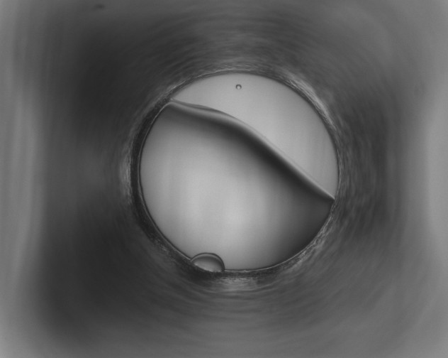 X0000102380154200808010921